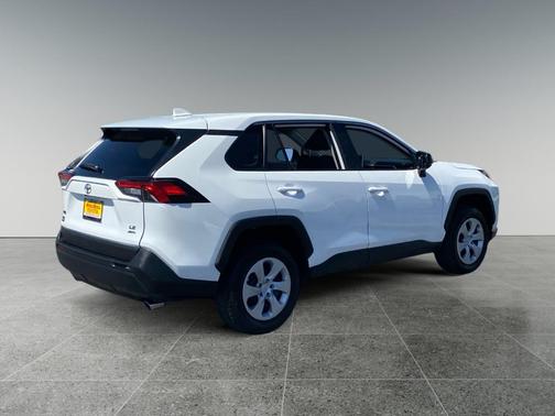 Ice 2024 Toyota RAV4 LE