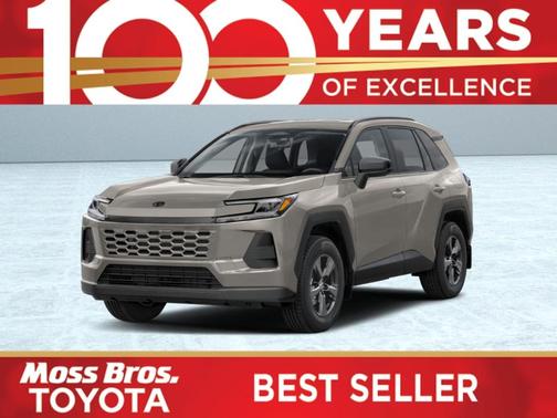 Meteorite 2026 Toyota RAV4 LE