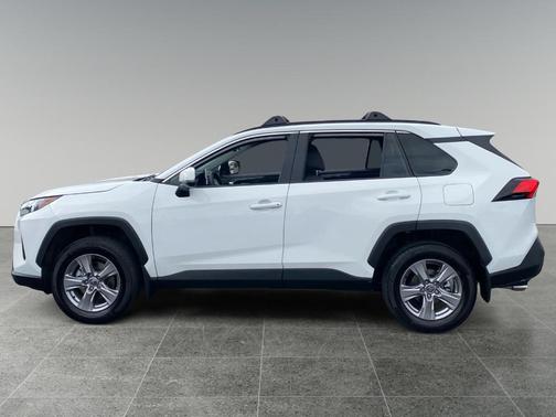 Ice 2025 Toyota RAV4 XLE