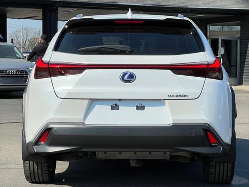 2019 Lexus UX 250h F Sport
