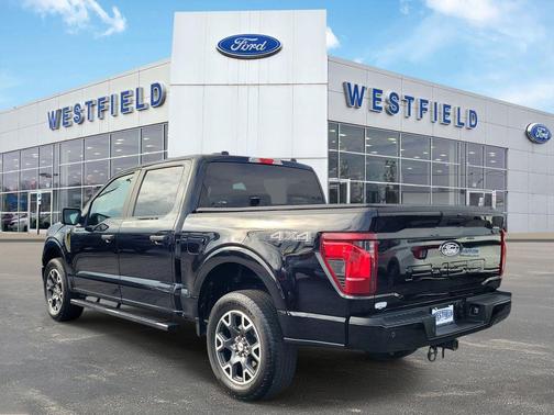 Agate Black Metallic 2024 Ford F-150 STX