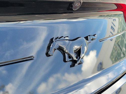 2020 Ford Mustang EcoBoost