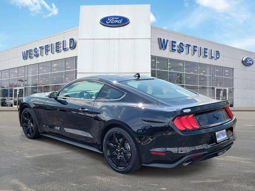 2020 Ford Mustang EcoBoost