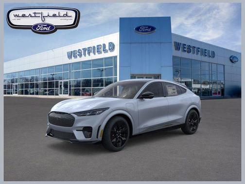 Glacier Gray Metallic TriCoat 2025 Ford Mustang Mach-E GT