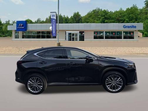 2023 Lexus NX 350 Luxury