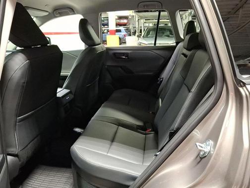 Meteor Shower 2026 Toyota RAV4 XLE Premium