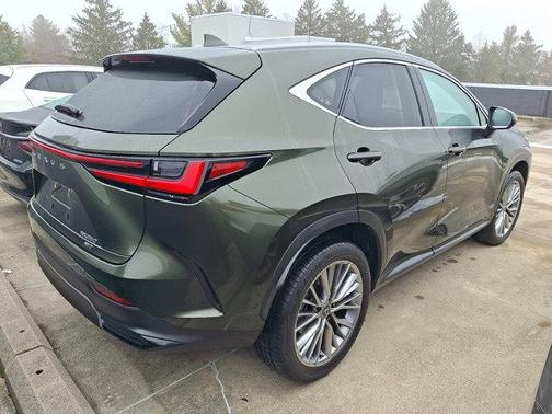 2025 Lexus NX 350 Luxury