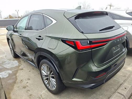 2025 Lexus NX 350 Luxury
