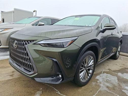 2025 Lexus NX 350 Luxury
