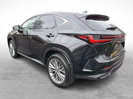 2024 Lexus NX 350 Luxury