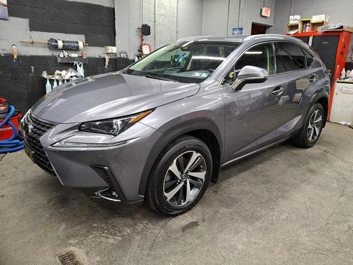 Nebula Gray Pearl 1H9 2019 Lexus NX 300 F Sport