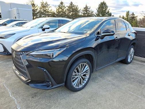 2024 Lexus NX 350 Luxury