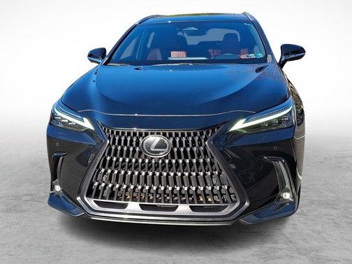 2024 Lexus NX 350 Luxury