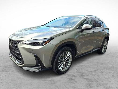 2023 Lexus NX 350 Luxury