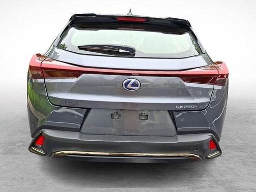 2022 Lexus UX 250h F Sport