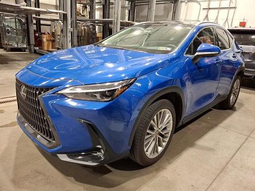 2025 Lexus NX 350 Luxury