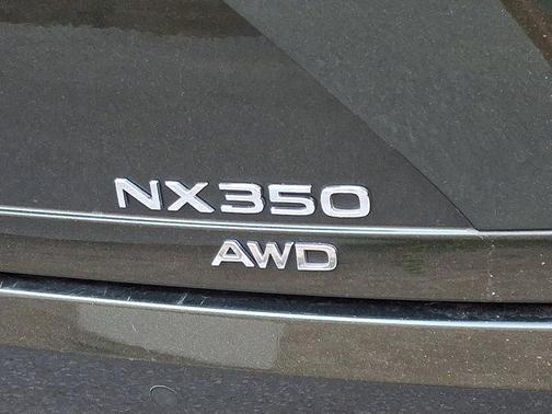 Nori Green Pearl   6X4 2025 Lexus NX 350 Luxury