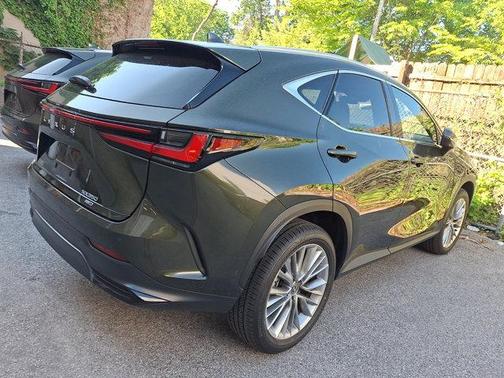 Nori Green Pearl 6X4 2025 Lexus NX 350 Luxury