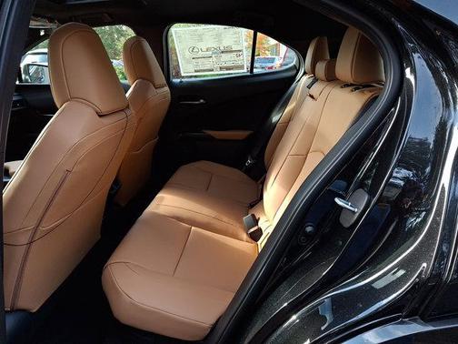 2025 Lexus UX 300h Premium