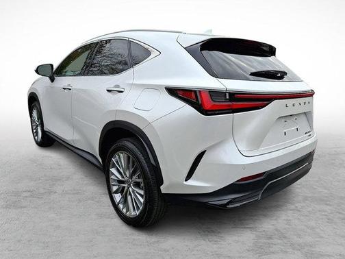 2024 Lexus NX 350 350 Luxury