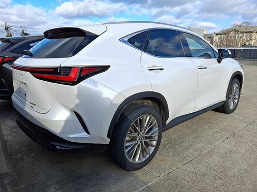 2023 Lexus NX 350 Luxury