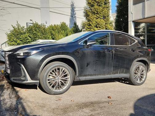 2022 Lexus NX 350h Premium