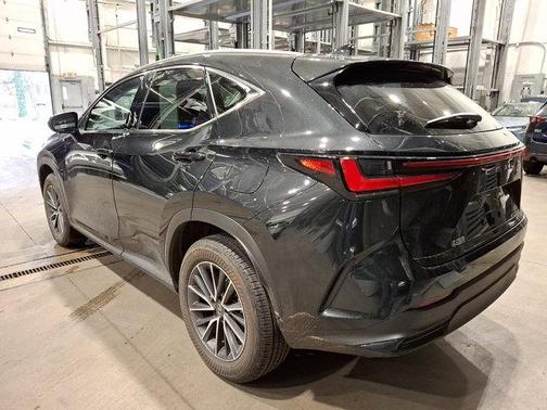 2025 Lexus NX 350h Luxury