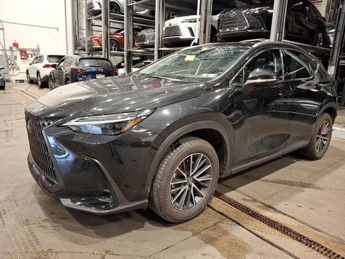 2025 Lexus NX 350h Luxury
