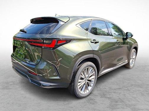 2025 Lexus NX 350 Luxury