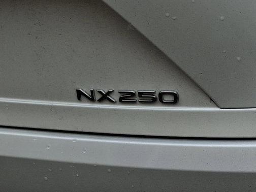 Eminent White P 2024 Lexus NX 250 Premium