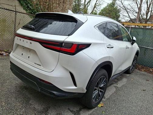 Eminent White P 2024 Lexus NX 250 Premium