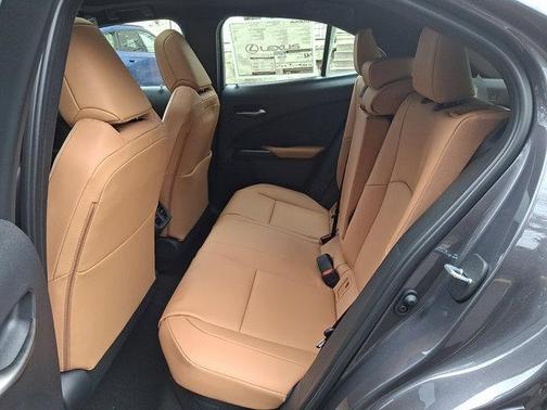 Cloudburst Gray 2026 Lexus UX 300h Premium