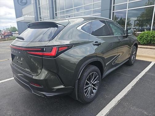 2025 Lexus NX 250 Base