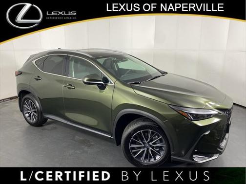 2025 Lexus NX 250 Base