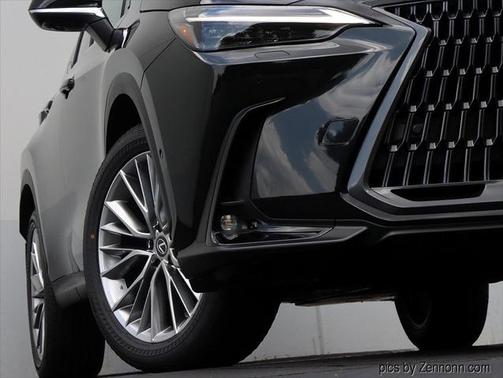 2025 Lexus NX 350 Luxury