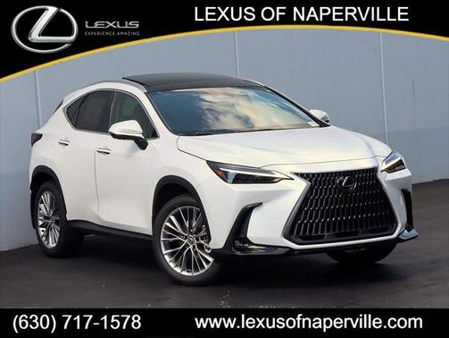 2025 Lexus NX 350 Luxury