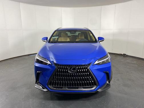 2025 Lexus NX 250 Base