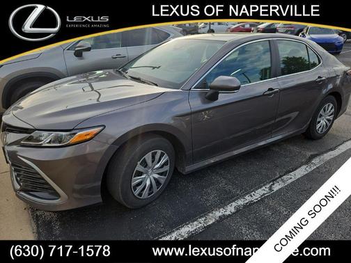 Predawn Gray Mica 2024 Toyota Camry Hybrid LE