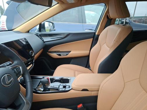 2025 Lexus NX 350 350 Base