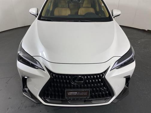 2025 Lexus NX 350 350 Base