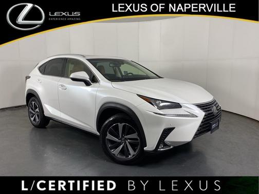 2019 Lexus NX 300 F Sport