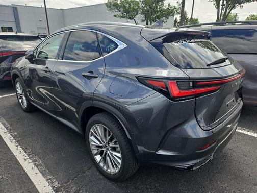 Cloudburst Gray 2025 Lexus NX 350h Premium