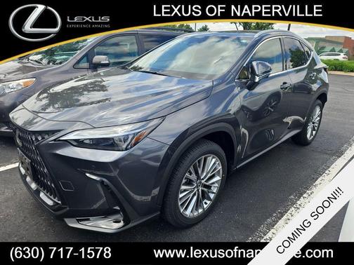 Cloudburst Gray 2025 Lexus NX 350h Premium