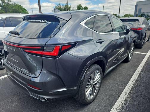 Cloudburst Gray 2025 Lexus NX 350h Premium