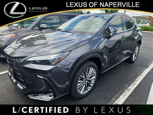 Cloudburst Gray 2025 Lexus NX 350h Premium
