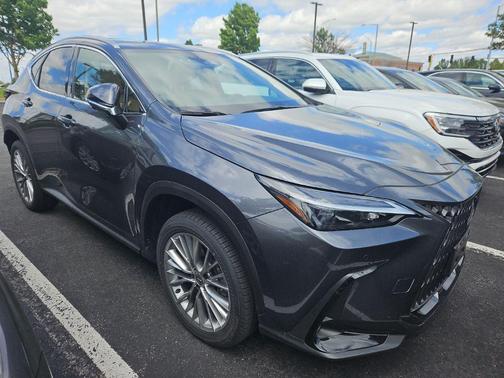Cloudburst Gray 2025 Lexus NX 350h Premium
