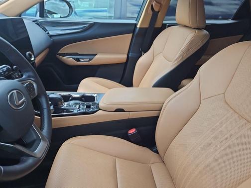 Cloudburst Gray 2025 Lexus NX 350h Premium