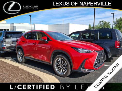 Redline 2025 Lexus NX 350 Premium