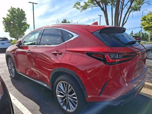 Redline 2025 Lexus NX 350 Premium