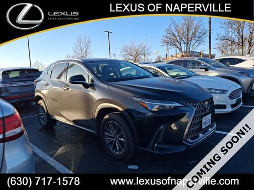 2024 Lexus NX 350h Premium